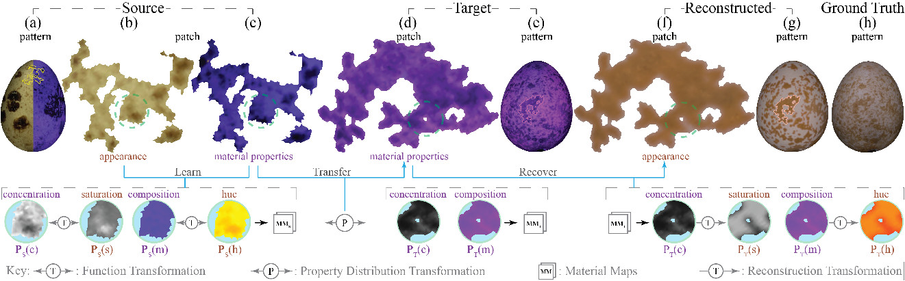 3-D Material Style Transfer for Reconstructing Unknown Appearance in Complex Natural Materials